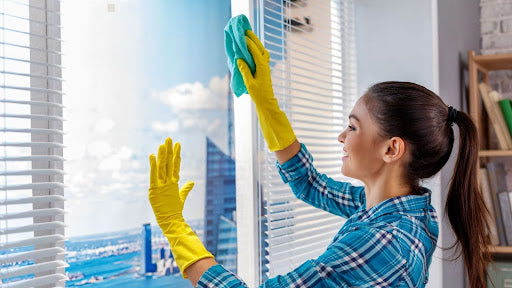 Regular Window Cleaning