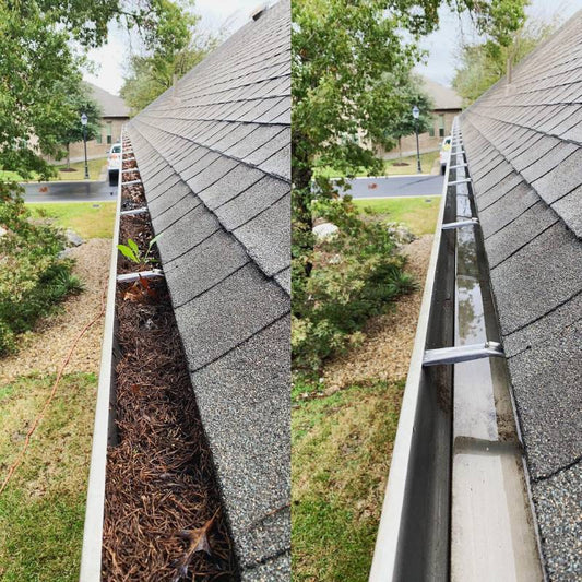 Gutter Cleaning services